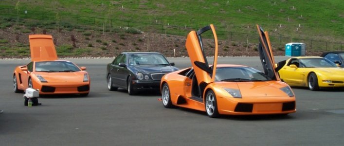 gallardo-murcielago.jpg