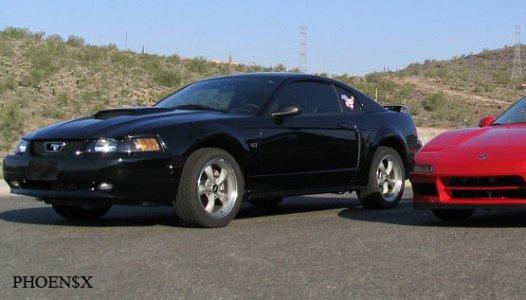 stang-x.jpg