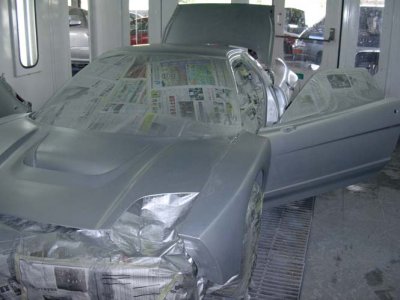 silver undercoat.jpg