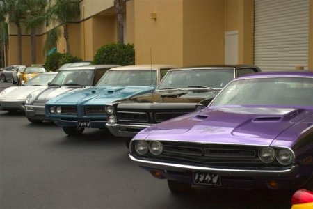 Muscle cars (Small).jpg
