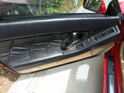 NSX 19d door.jpg