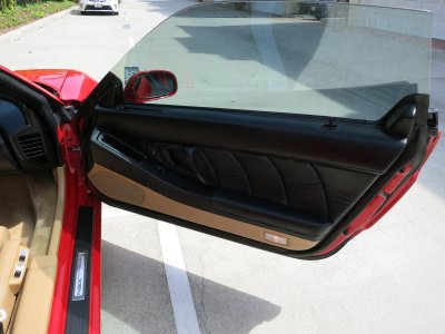 NSX 20p door.jpg