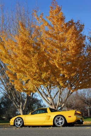 yellow nsx tree upload.jpg