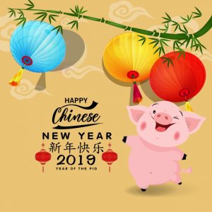 happy-chinese-new-year-2019-year-of-the-pig-lunar-png_270161.jpg