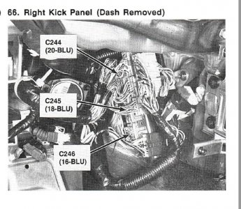 DRL - 2.jpg