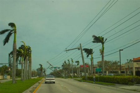 Leaning Telephone Poles 2 (Small).jpg