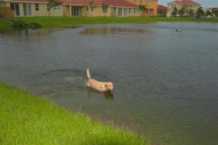 Casey Lake (Small).jpg