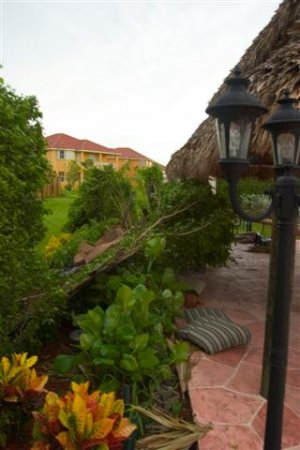 Back yard Fence (Small).jpg