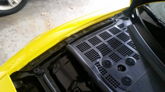 Passenger Side Hood Detail.jpg