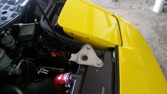 Drivers Side hood Close in.jpg