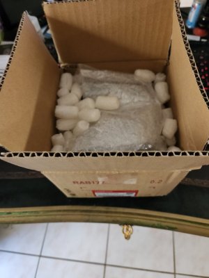 ABS Pump In Box.jpg