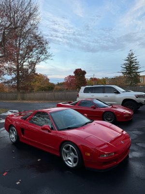 both_NSXs.jpg