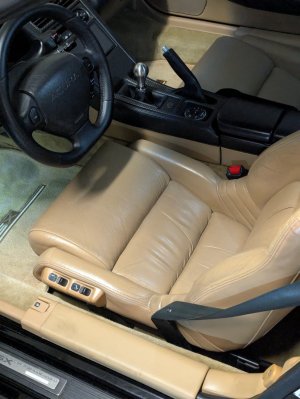 Tan interior.jpg