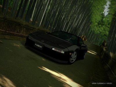 nsx1.JPG