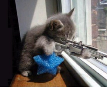 sniperkitten.jpg