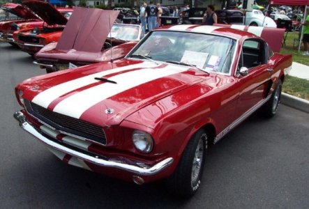 SHELBY_GT350_RED.JPG