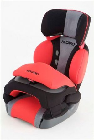 Recaro Baby Seat.jpg