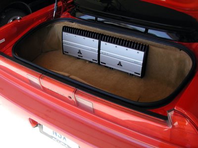 trunk2.jpg