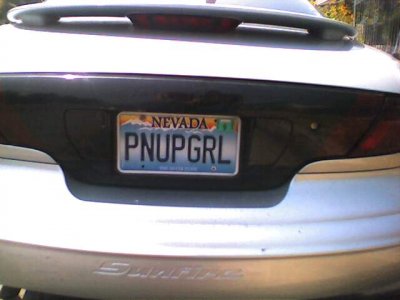 licenseplate3.jpg