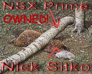 owned-Nick_Sitko_2.jpg