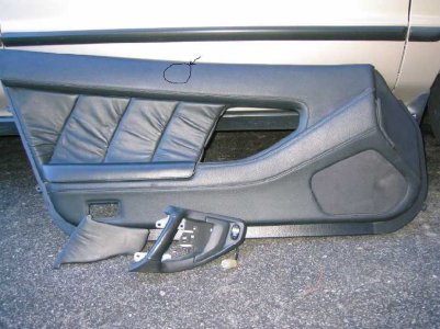 DOOR PANEL.JPG