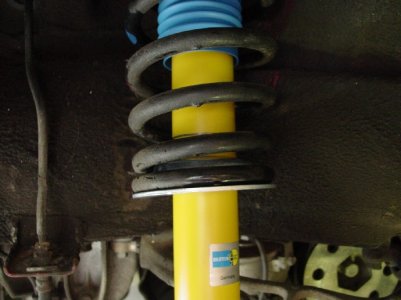 Rear Shock Sm.JPG