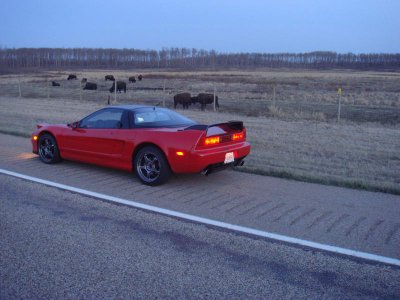 NsxBuffaloJump01_resize.JPG