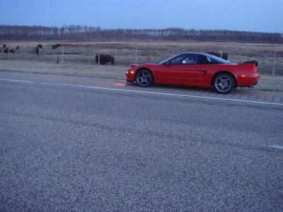 NsxBuffaloJump05_resize.JPG