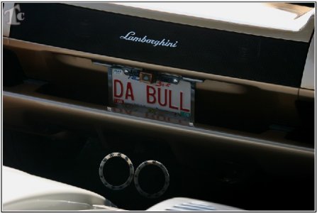 20080816204249_bull.jpg