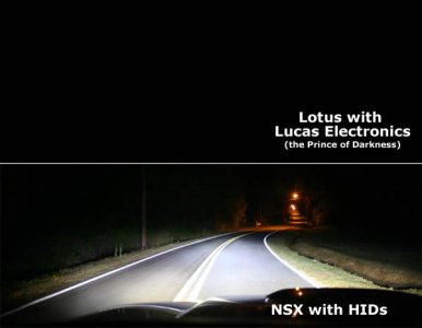 Lotus.jpg