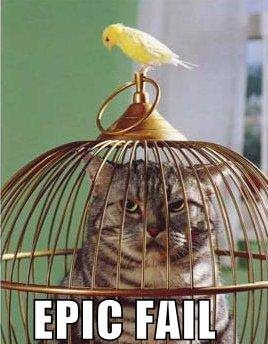 funny-pictures-bird-cat-cage.jpg