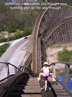 rollercoaster8on1.jpg