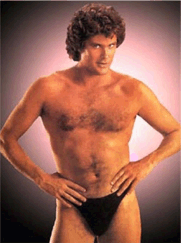 thehoff2.gif