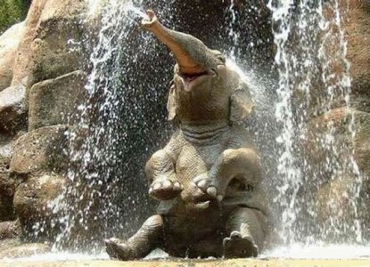 elephantbathsmile copy.jpg