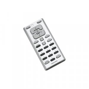 Delphi SA10183 Remote.jpg