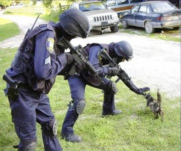 swat-vs-cat.jpg