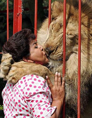 lionkisswoman.jpg