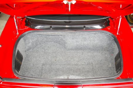 NSX trunk 3.jpg