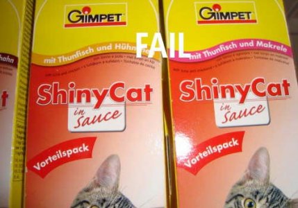 shineycat copy.jpg