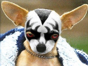 gene-simmons-dog.jpg