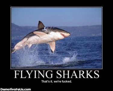 flying-sharks-demotivational-poster.jpg