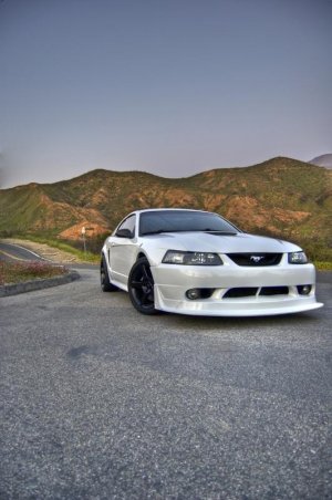 Mustang HDR front.jpg