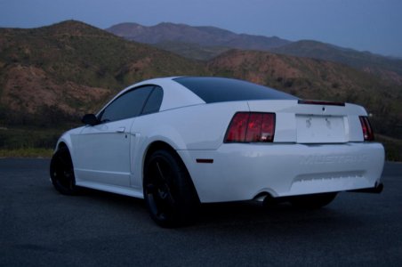 Mustang HDR rear.jpg