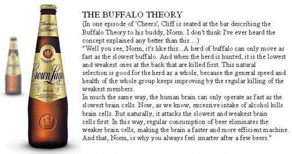 thebuffalo(andbeer)theory1.jpg