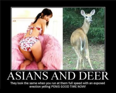 asian-deers-froze-scared-demotivational-poster.jpg