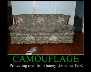 camouflage-protecting-men-from-honey-dos-since-1902-demotivational-poster.jpg