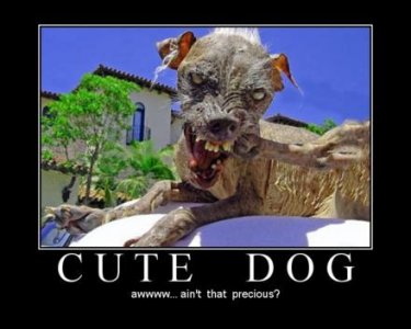 cute-dog-demotivational-poster.jpg