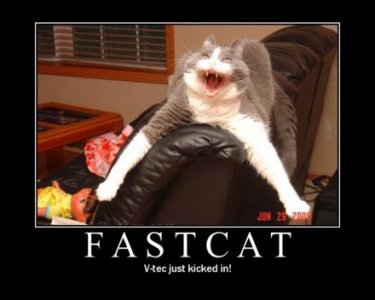 fastcat-vtec-lolcat-demotivational-poster.jpg