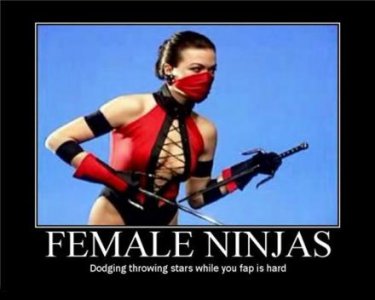 female-ninjas-demotivational-poster.jpg