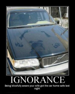 ignorance-car-whore-wife-cheating-demotivational-poster.jpg